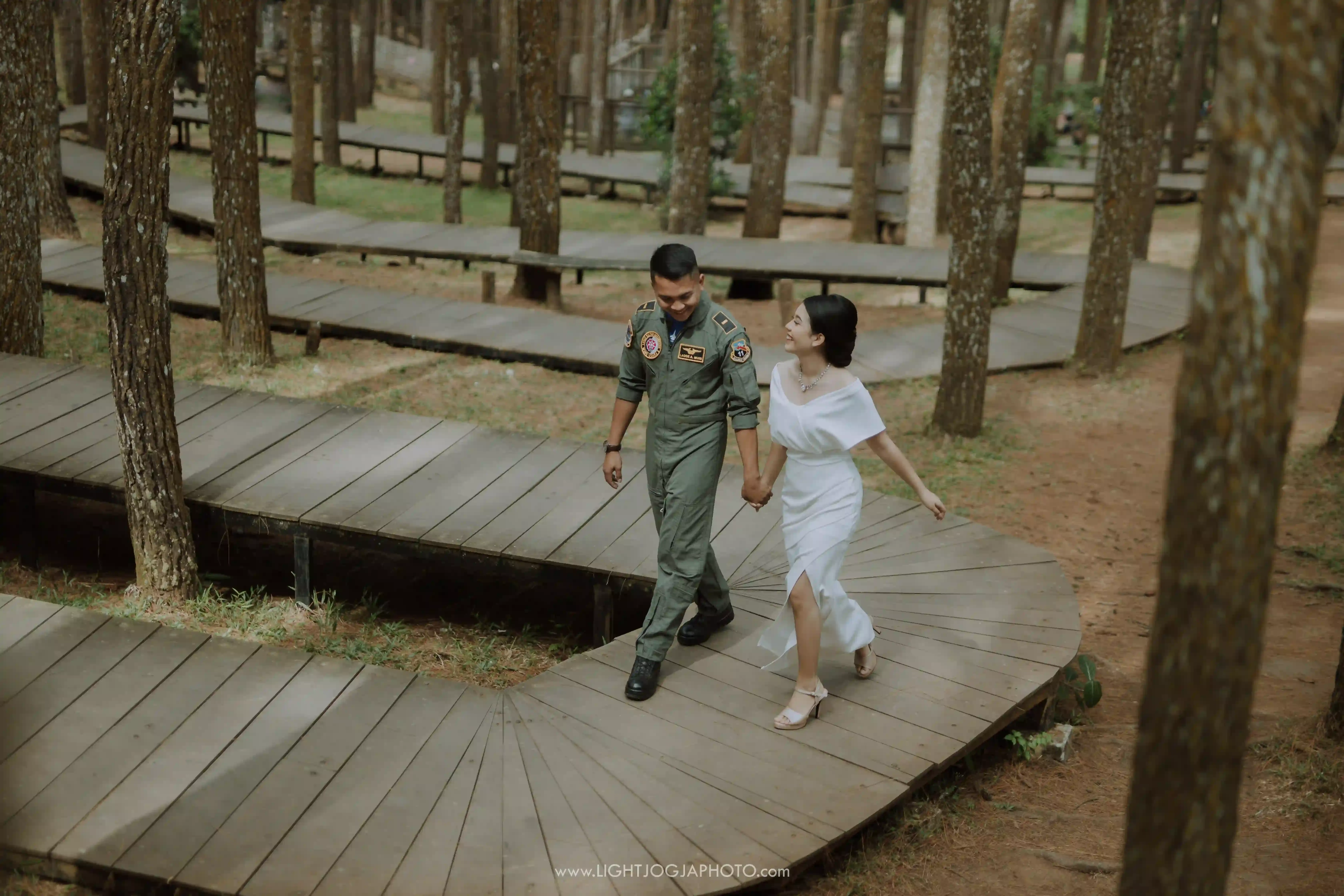 Hutan Pinus - 2