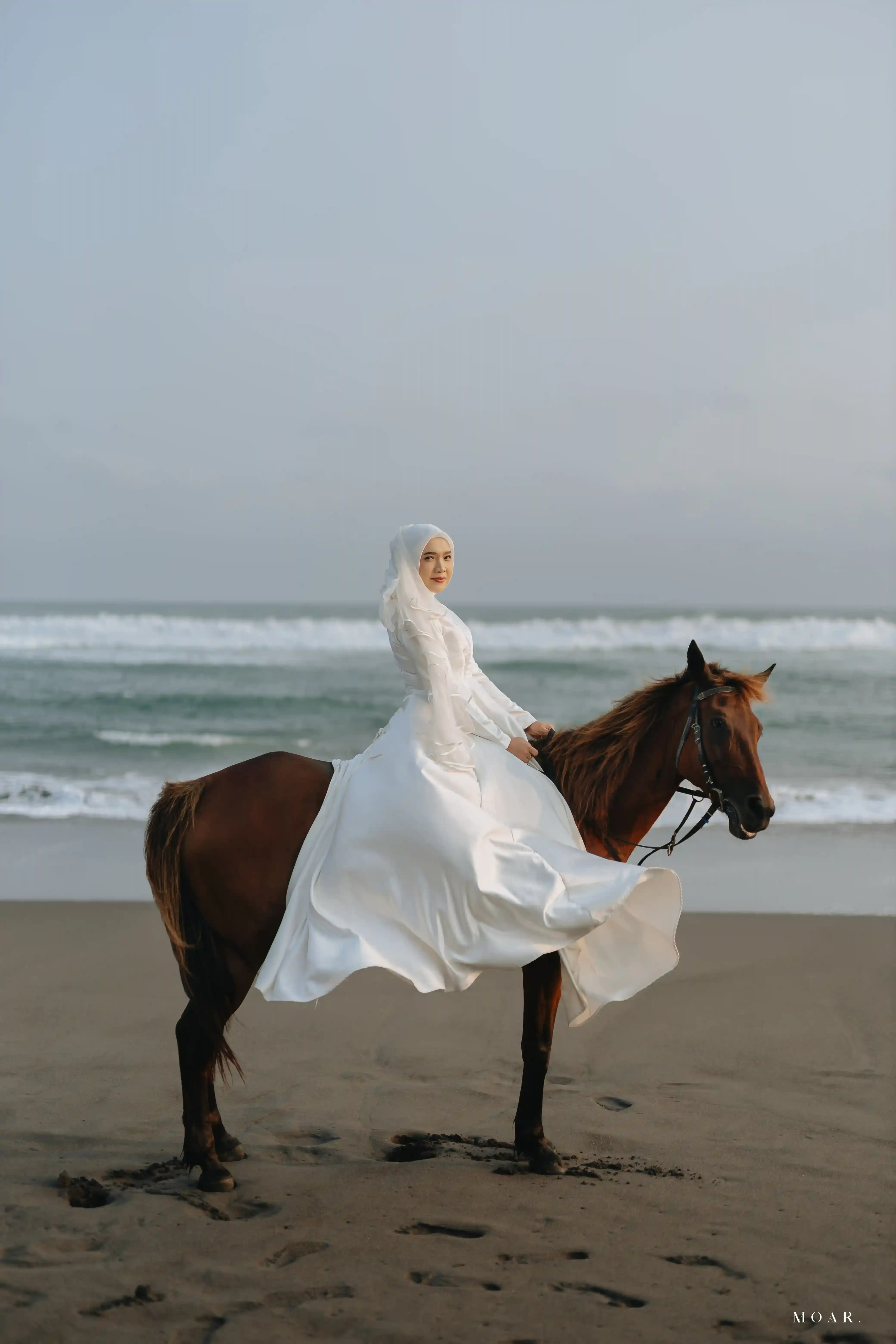 Horse / Kuda - 3