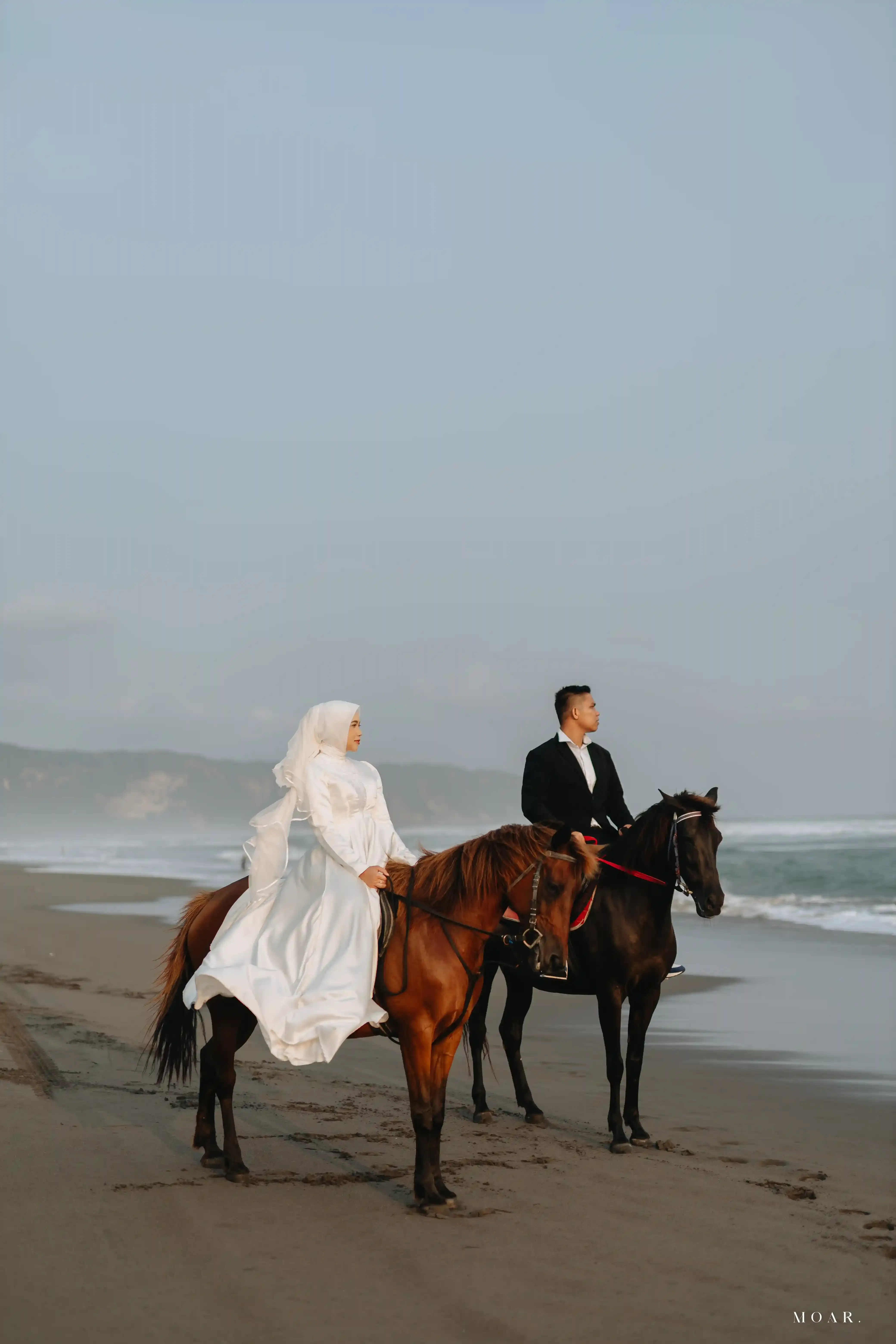 Horse / Kuda - 4