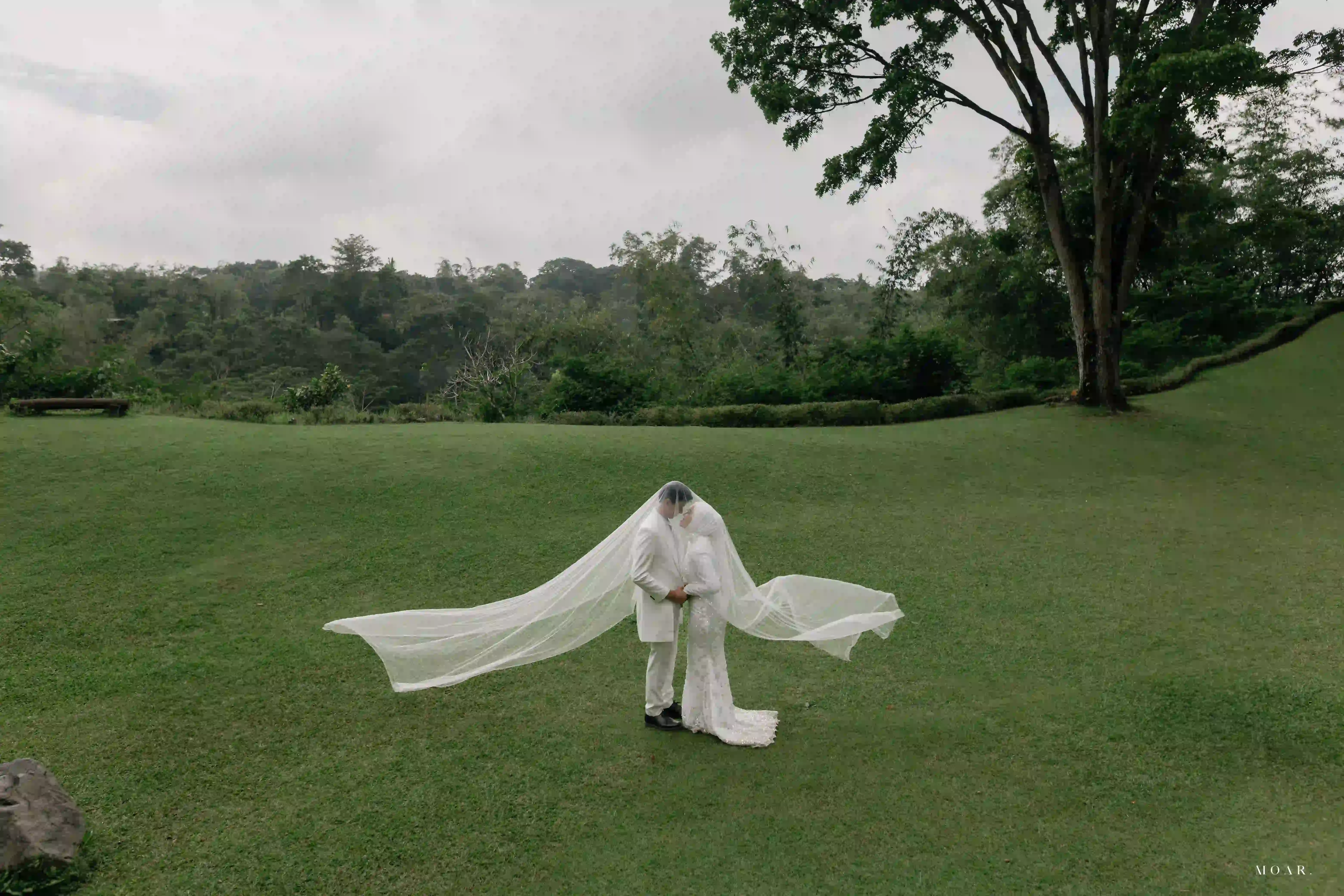 Veil | White Long- Pure - 9